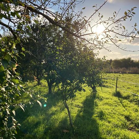 Une Maison, Un Jardin Berthenay Exteriér fotografie