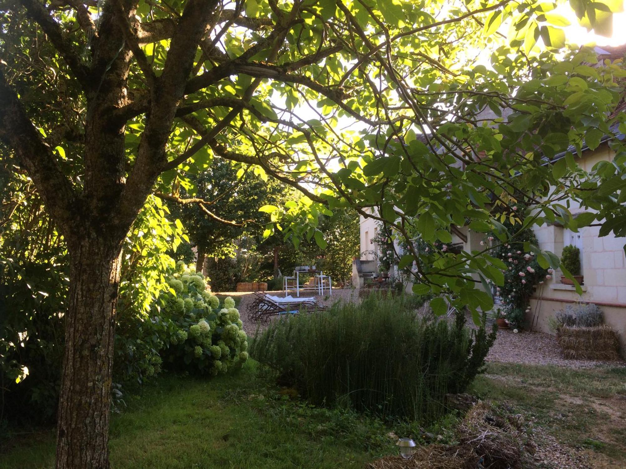 Une Maison, Un Jardin Berthenay Exteriér fotografie