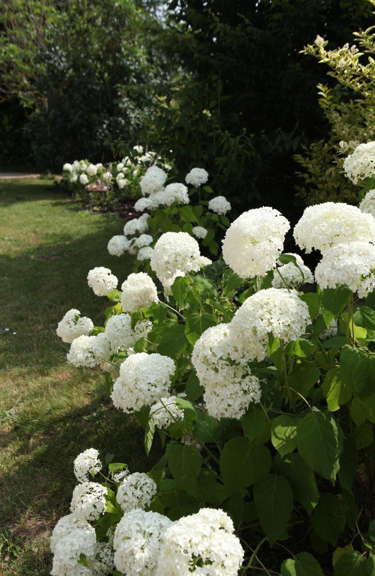 Une Maison, Un Jardin Berthenay Exteriér fotografie