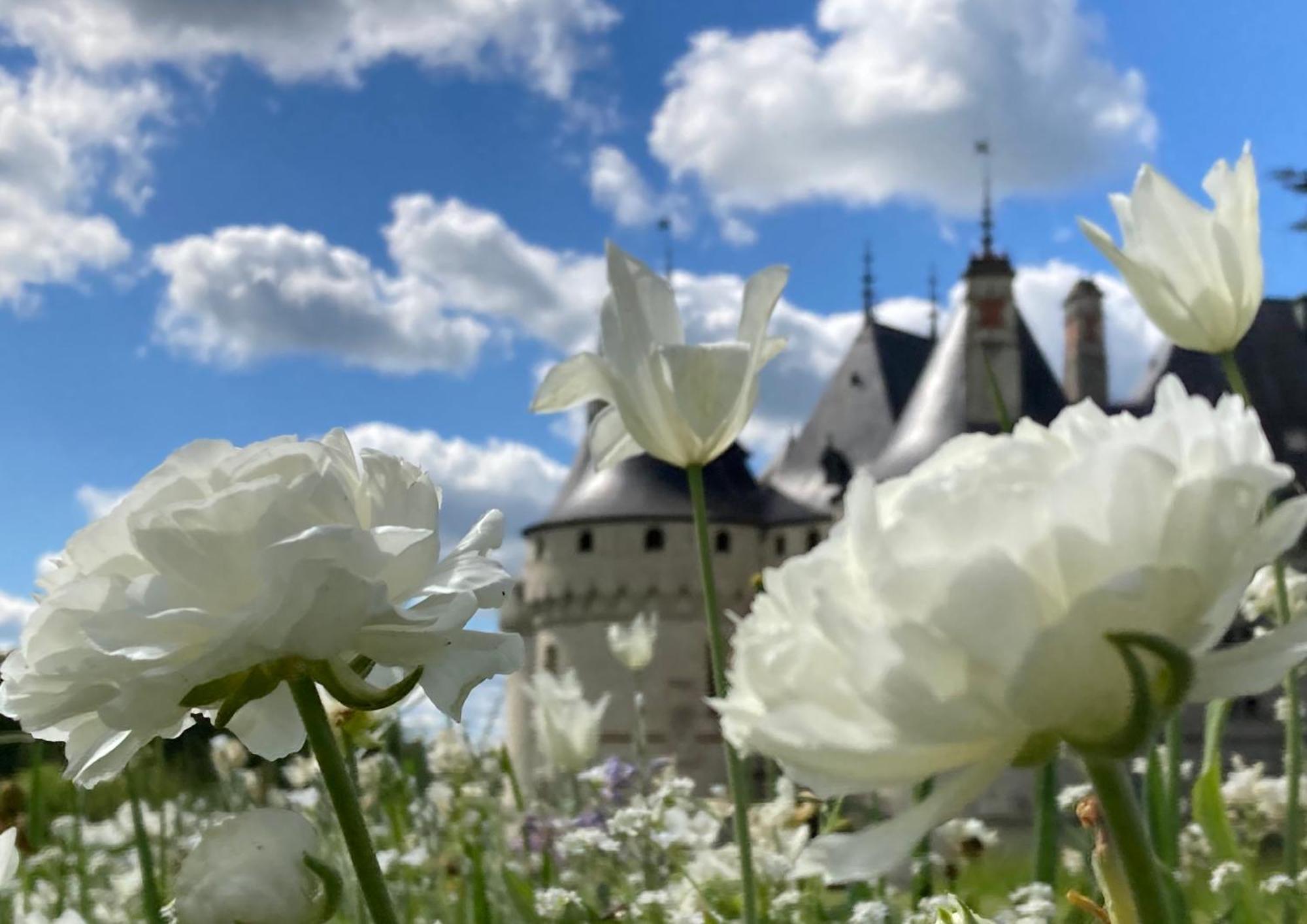 Une Maison, Un Jardin Berthenay Exteriér fotografie