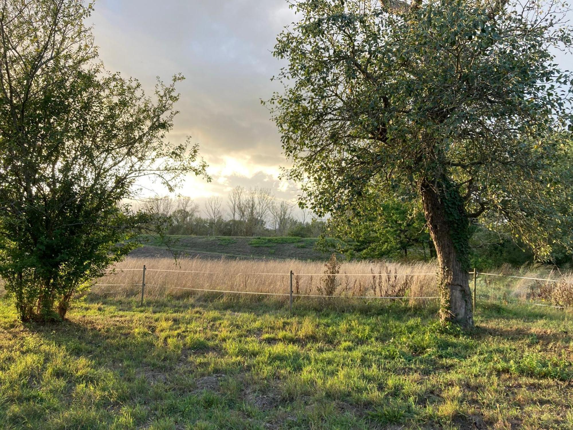 Une Maison, Un Jardin Berthenay Exteriér fotografie